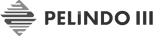 Pelindo III